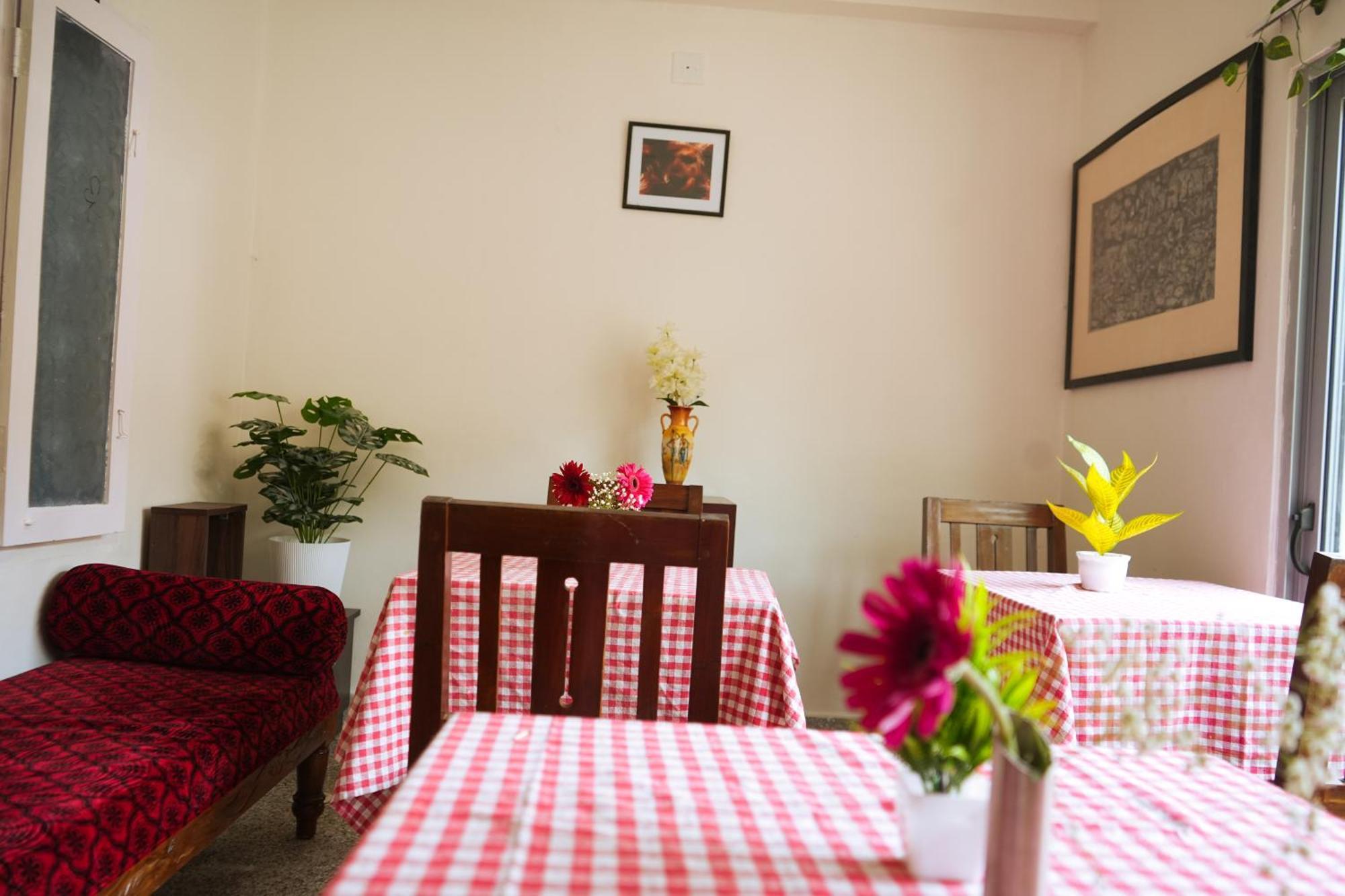 Mother Tree Inn Kochi Exterior photo